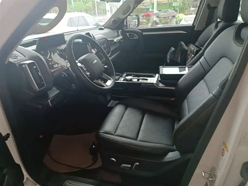 Haval Big Dog 2021 1.5T DCT 2WD Border Collie Edition фото 15