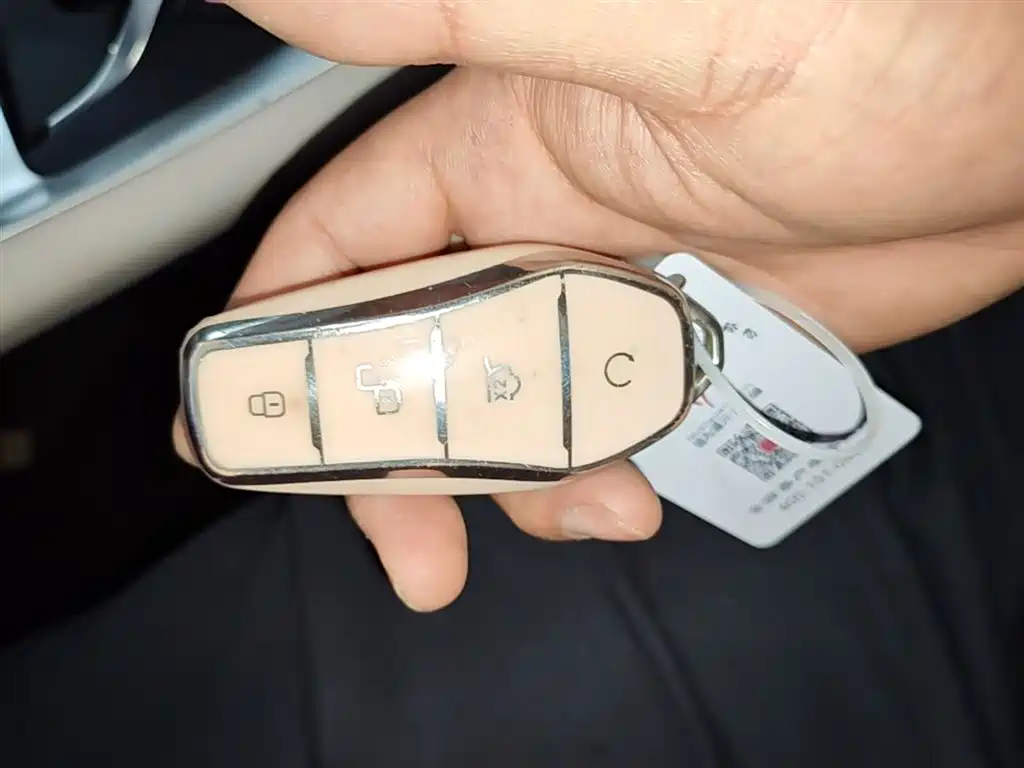 BYD Song Pro New Energy 2023 Champion Edition DM-i 110KM Excellence фото 9