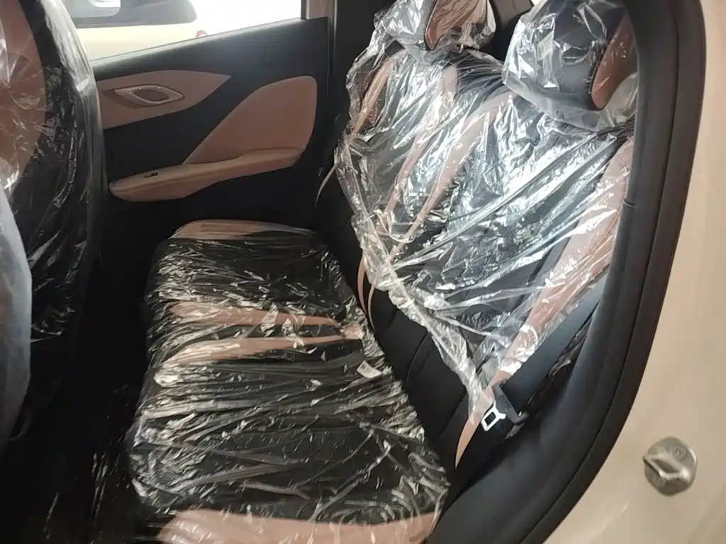 BYD Seagull 2026 2025 Smart Drive Edition 305km Vitality Version