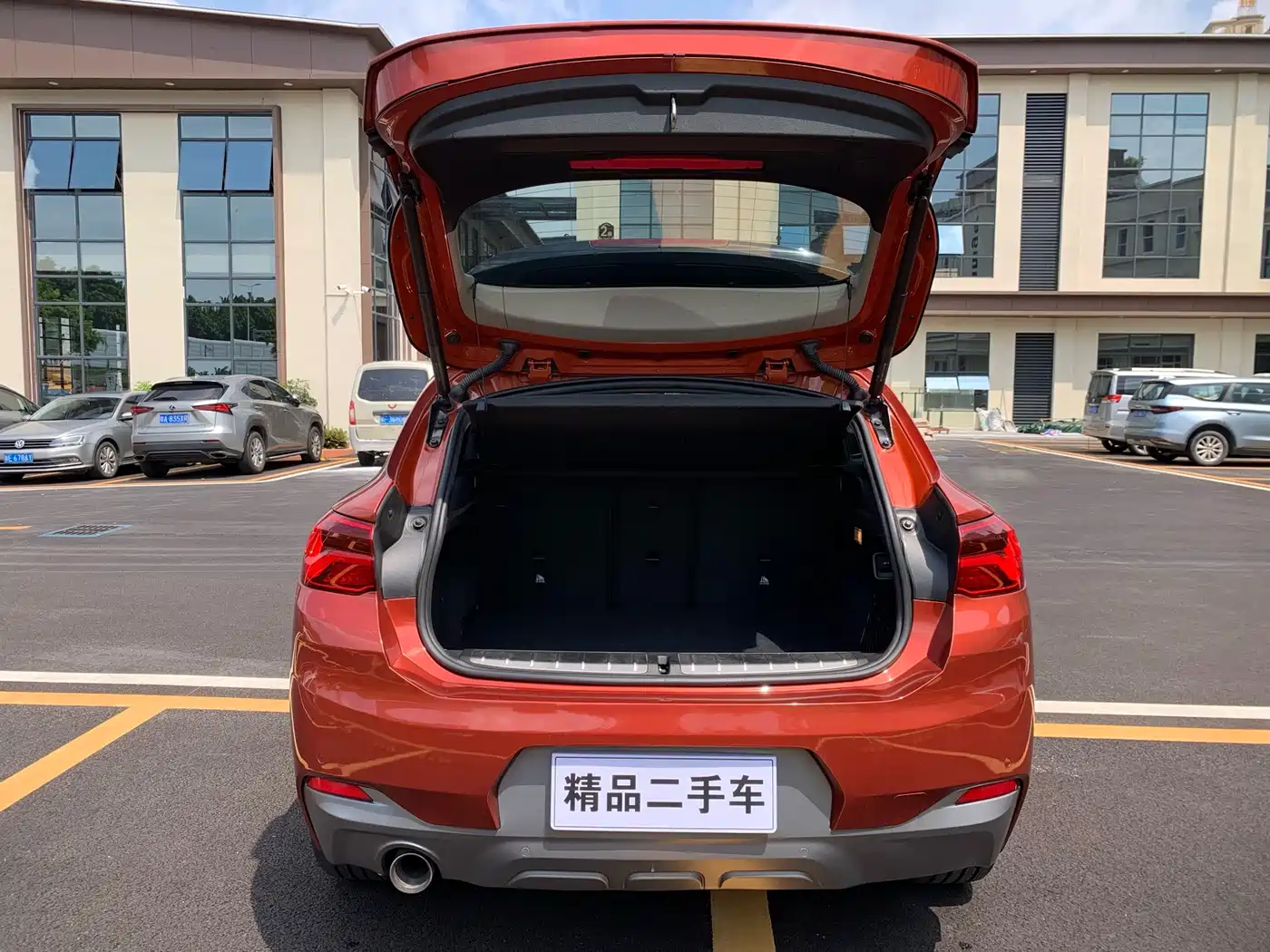 BMW X2 (Import) 2019 2019 sDrive20i M Off-Road Package China VI