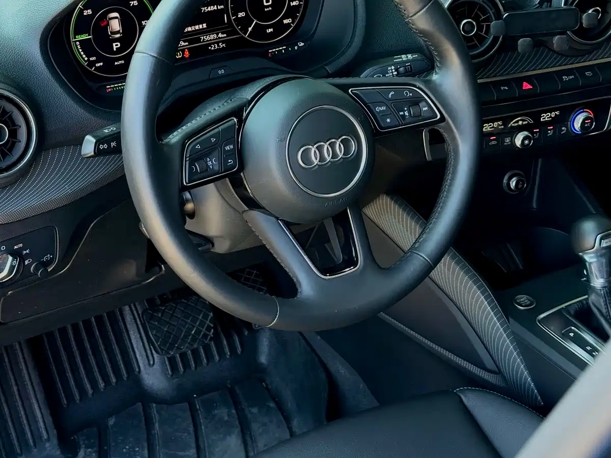 Audi Q2L e-tron 2019 Q2L e-tron Pure Electric Smart Cool Edition фото 13