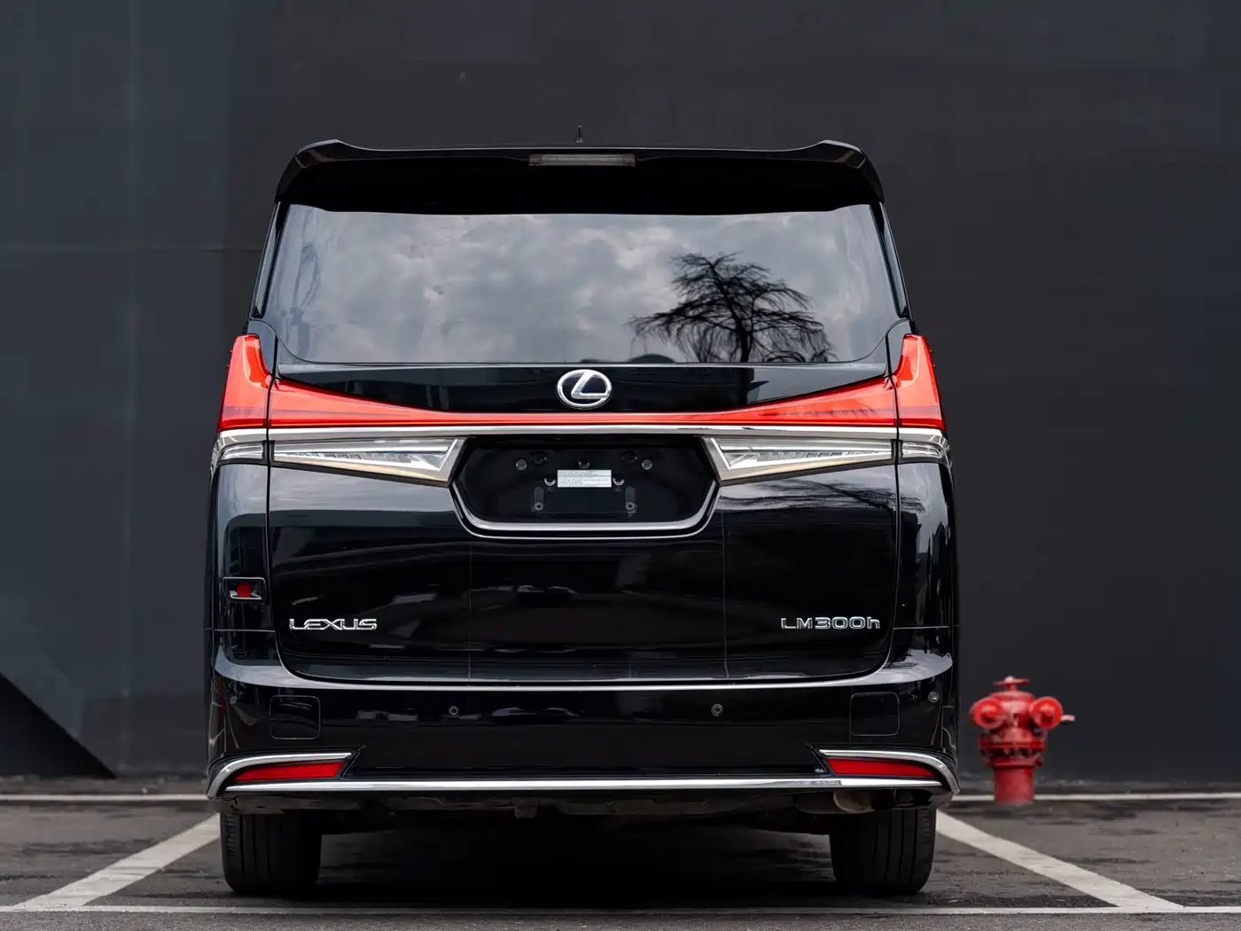 Lexus LM 2020 300h Seven-Seater Elegance Edition фото 16