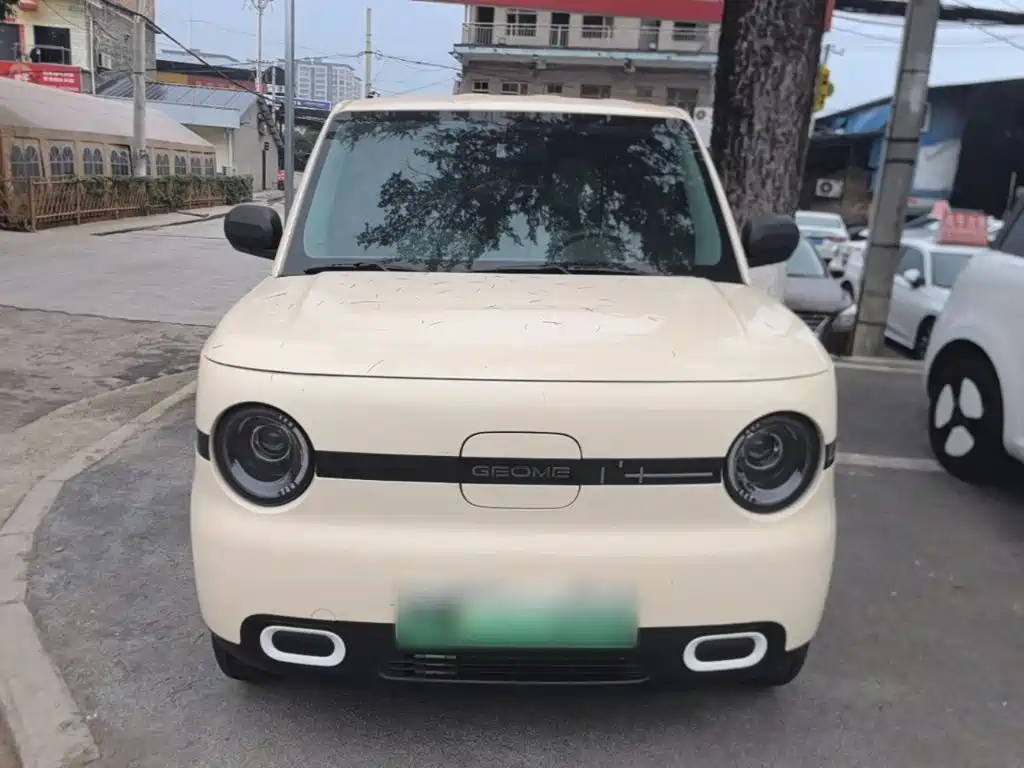 Фото 3 - Geely Galaxy Panda
