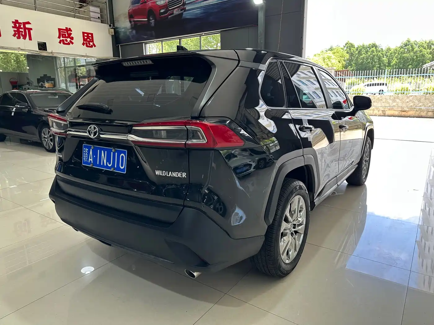 Фото 9 - Toyota Wildlander