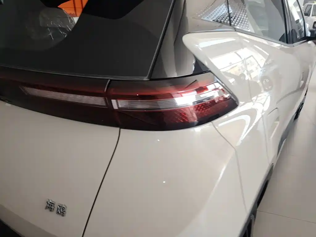 BYD Seagull 2026 2025 Smart Drive Edition 305km Vitality Version