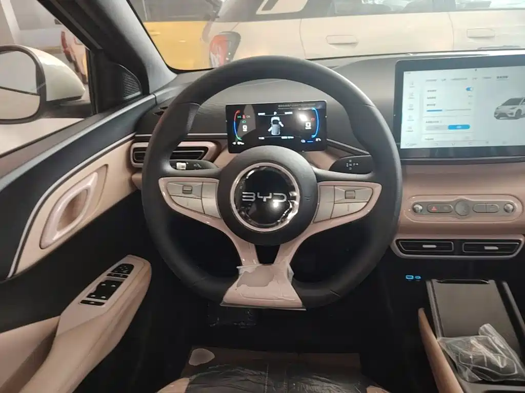 Photo 11 - BYD Seagull