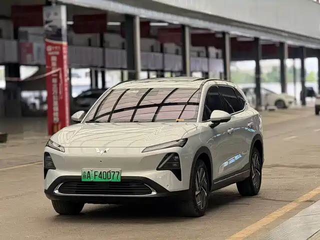 WULING WULING XINGGUANG S