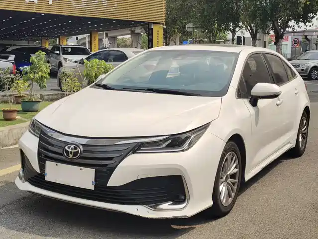 TOYOTA ASIAN LION 2023