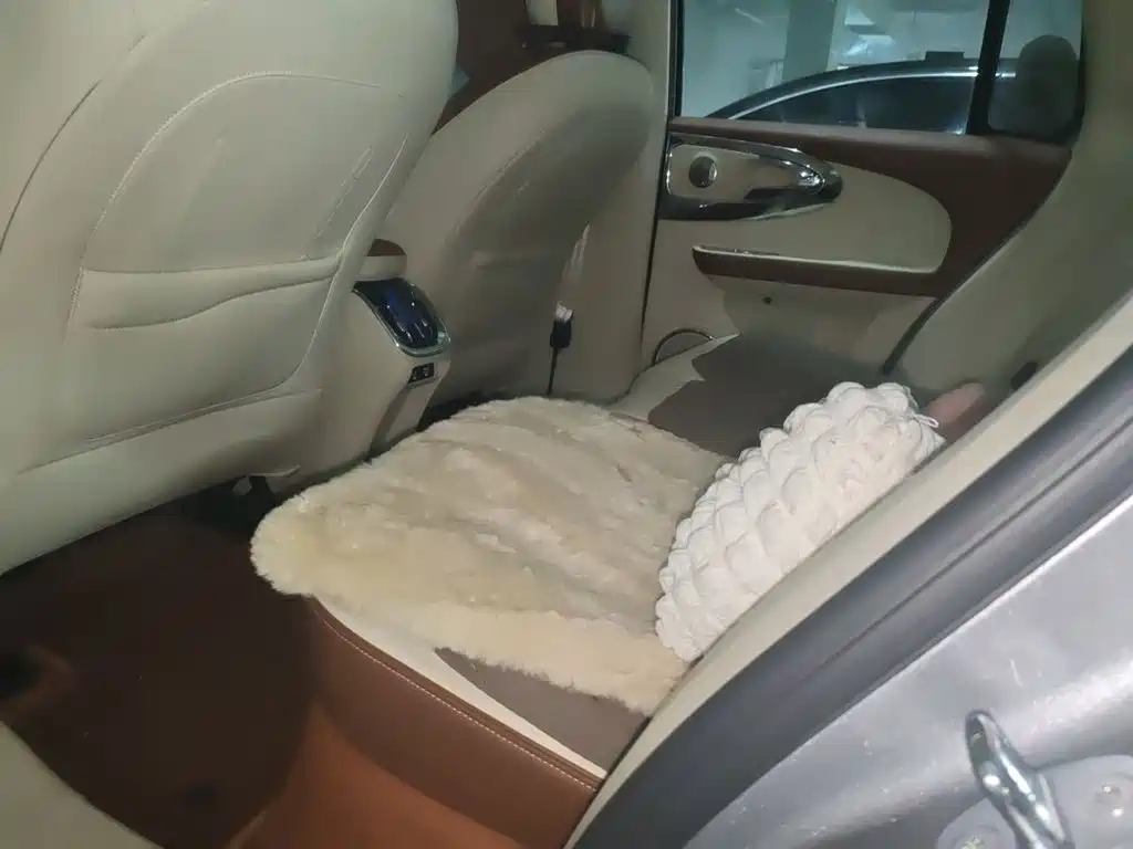 Ora Ballet Cat 2024 2023 401km Premium Model