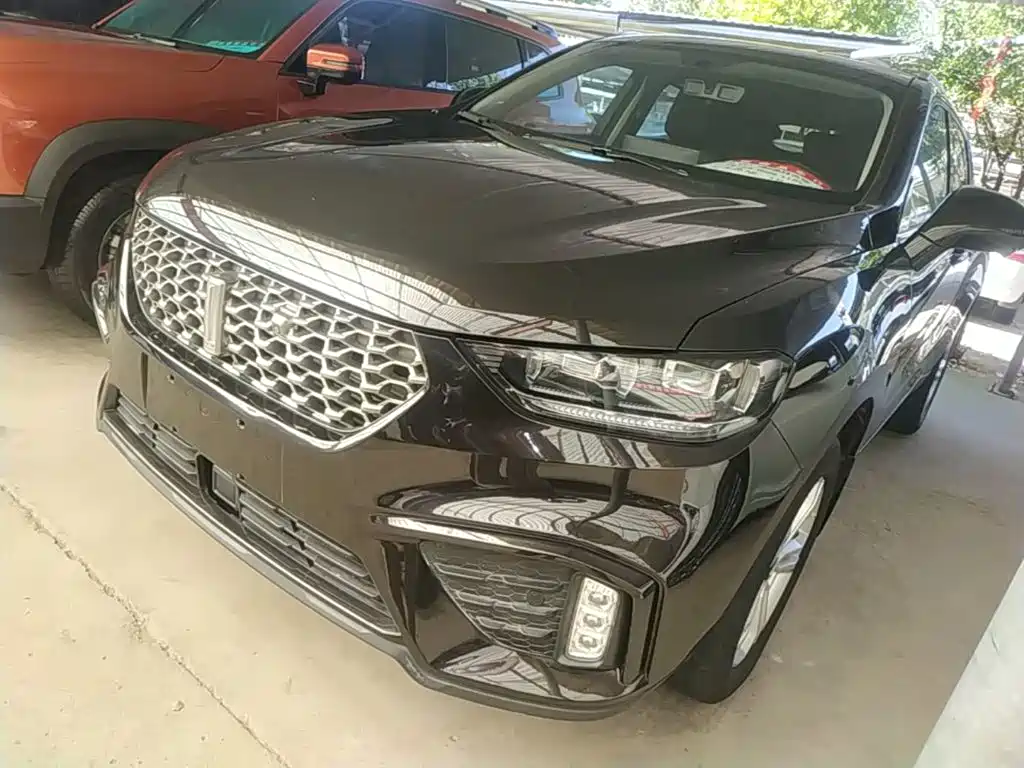 WEY VV5 2019 2020 1.5T 2WD Style Pioneer