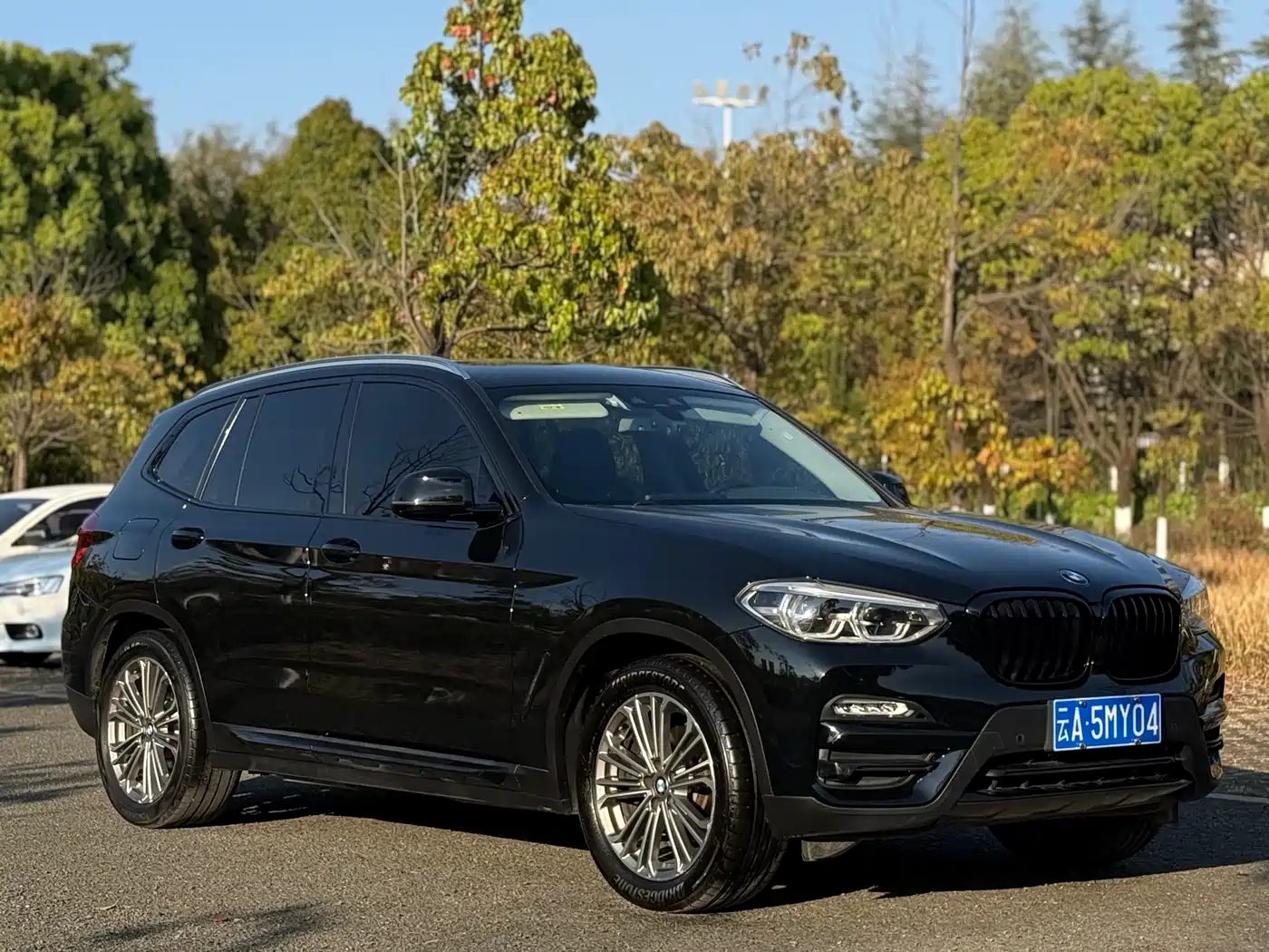 BMW X3 2018 xDrive28i Luxury Package China VI фото 9