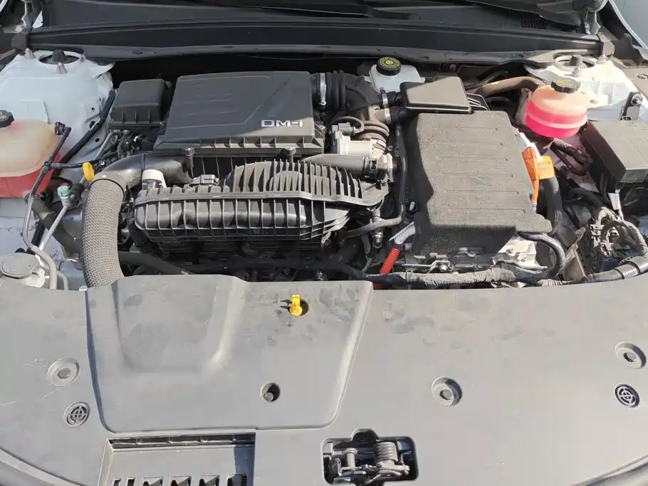 BYD Destroyer 05 2022 2022 DM-i 55KM Luxury