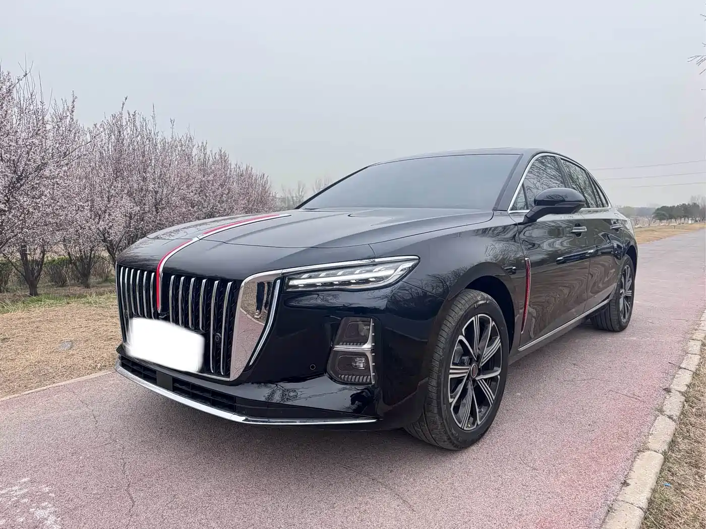 Hongqi H5 PHEV 2025 130 Super Hybrid Edition