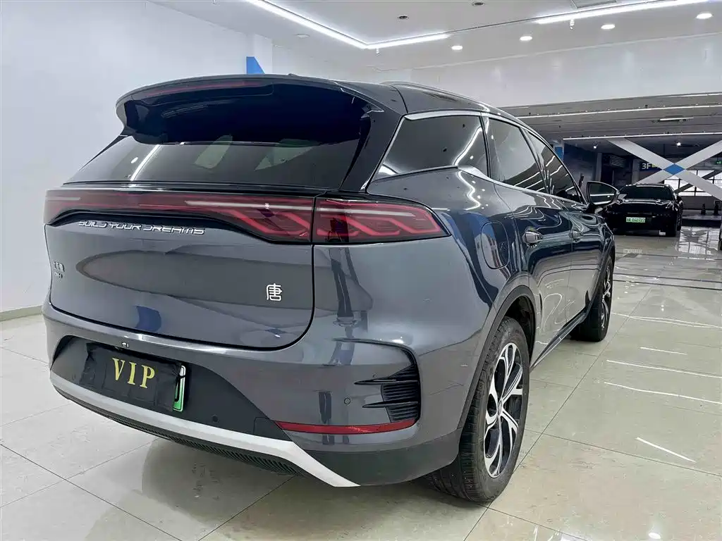 BYD Tang New Energy 2025 DM-i 115KM Prestige Type фото 4