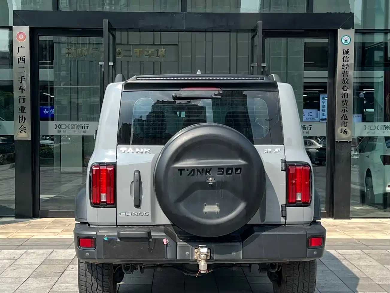 Tank 300 2021 2021 Off-road Version 2.0T Conqueror
