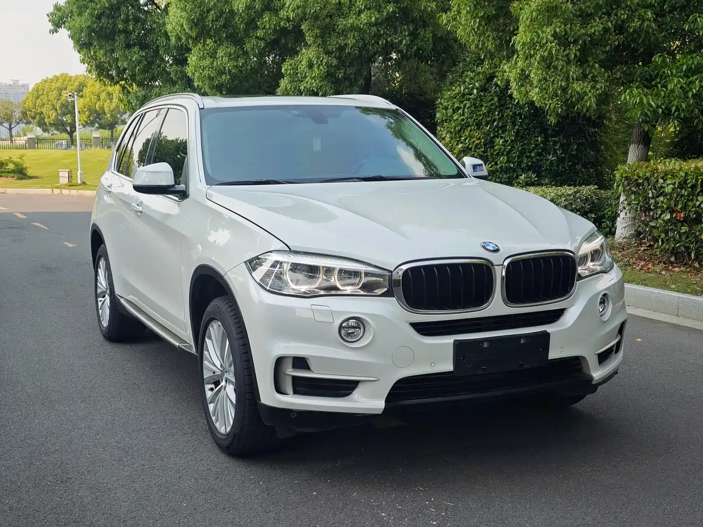 BMW X5 (Import) 2014 xDrive35i Leading фото 3