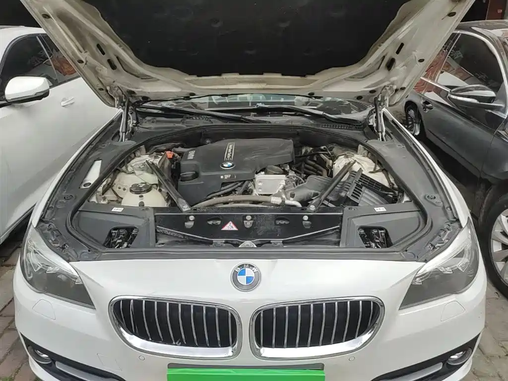 BMW 5 Series 2014 525Li Leading фото 20
