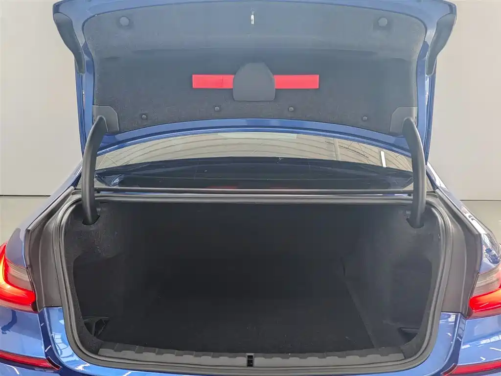 BMW 3 Series 2020 325Li M Sport Black Night Package фото 8