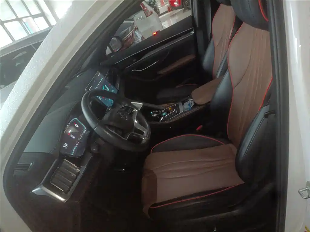 BYD Song PLUS 2020 1.5T Automatic Flagship фото 14