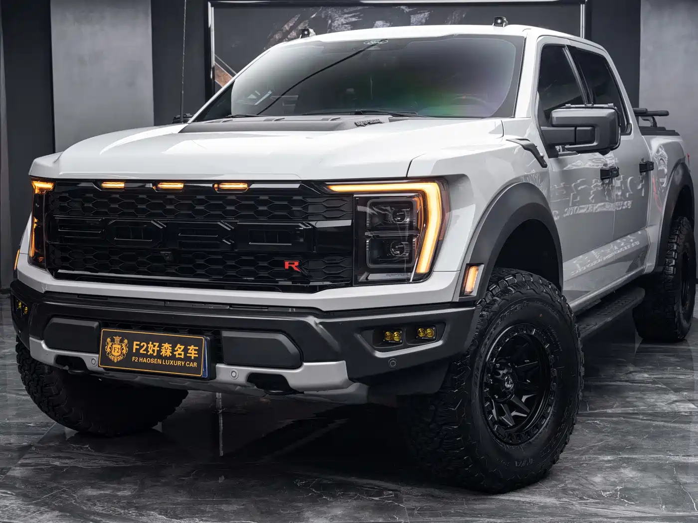 Ford Ford F-150 Raptor 2023 3.5T Raptor Snow Pride Special Edition