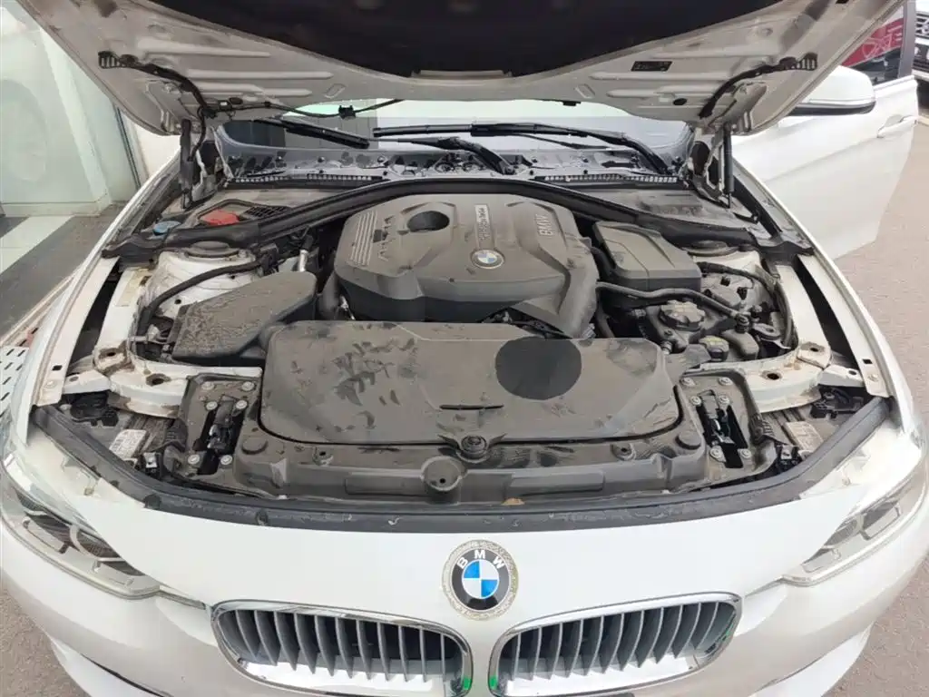 BMW 3 Series 2018 320Li Fashion Style фото 20