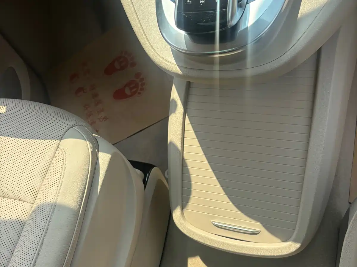 Mercedes-Benz V-Class 2018 V 260 Pilot Edition China V фото 18