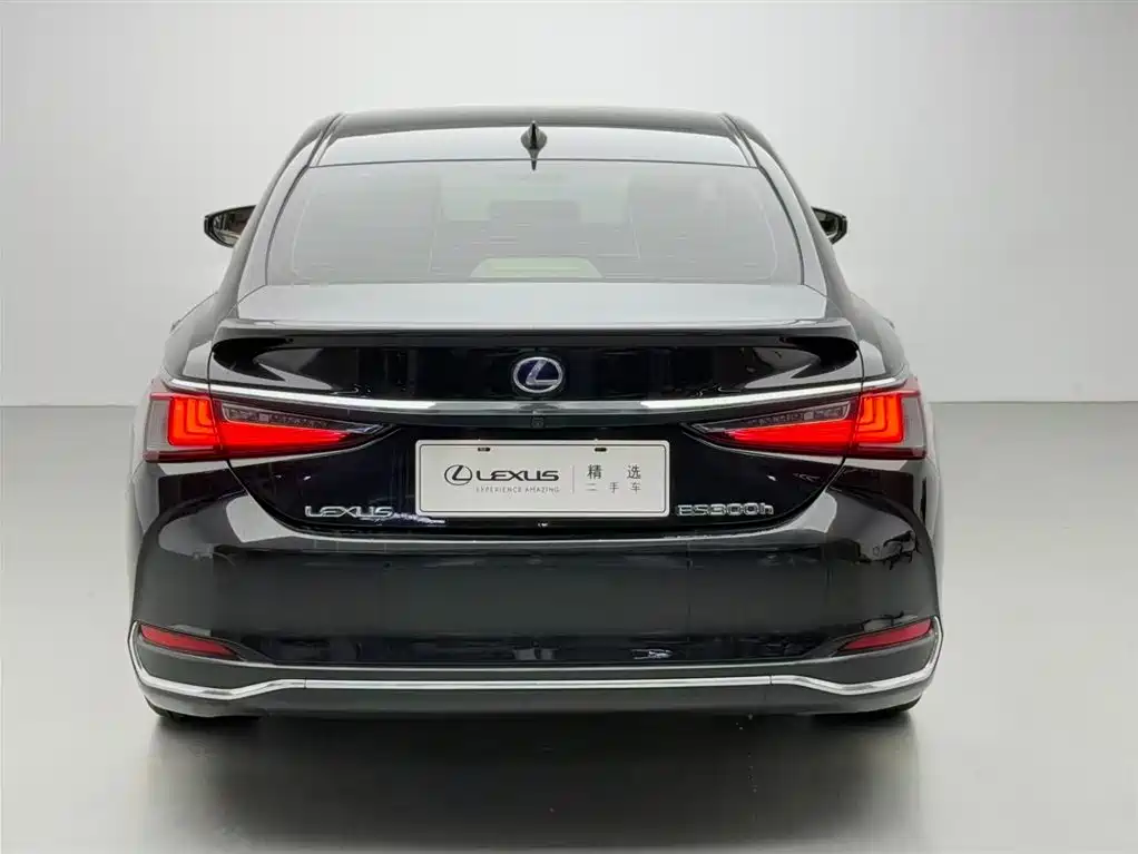 Lexus ES 2018 300h Excellence Edition China V фото 18