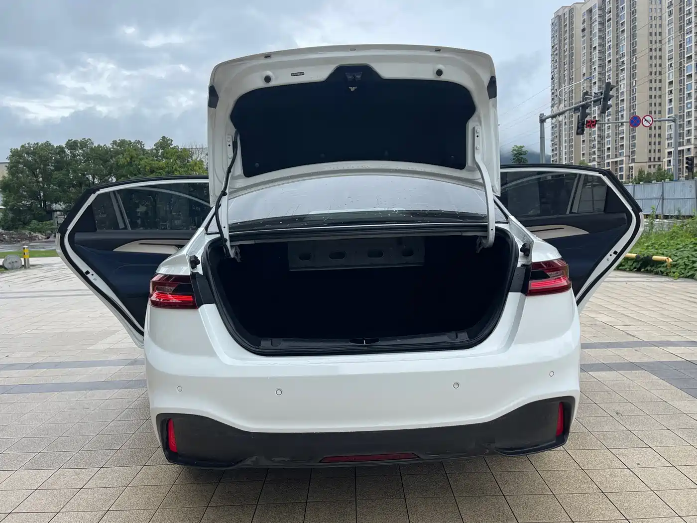 Venucia D60EV 2021 2020 Standard Range Smart Edition