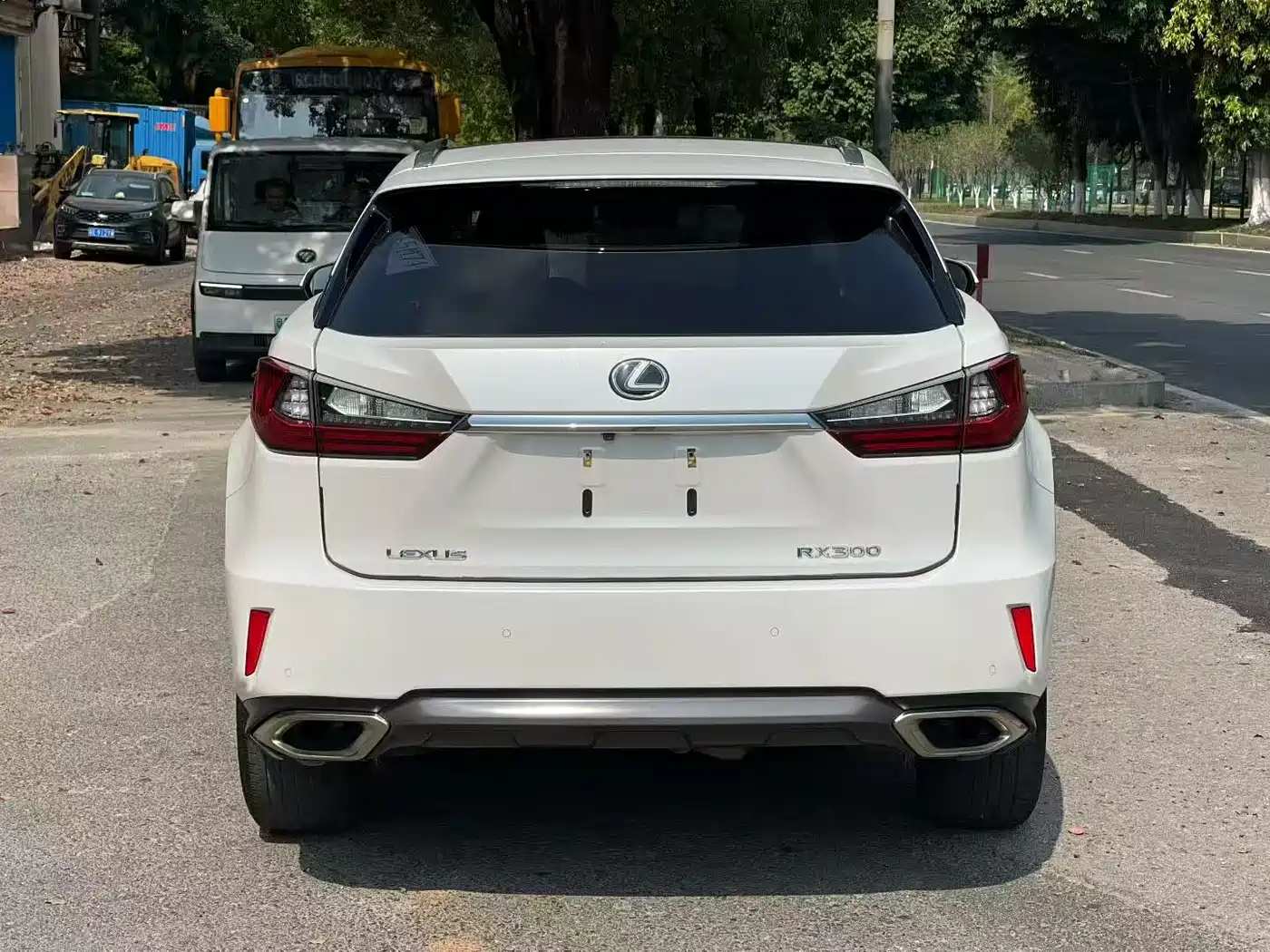 LEXUS RX