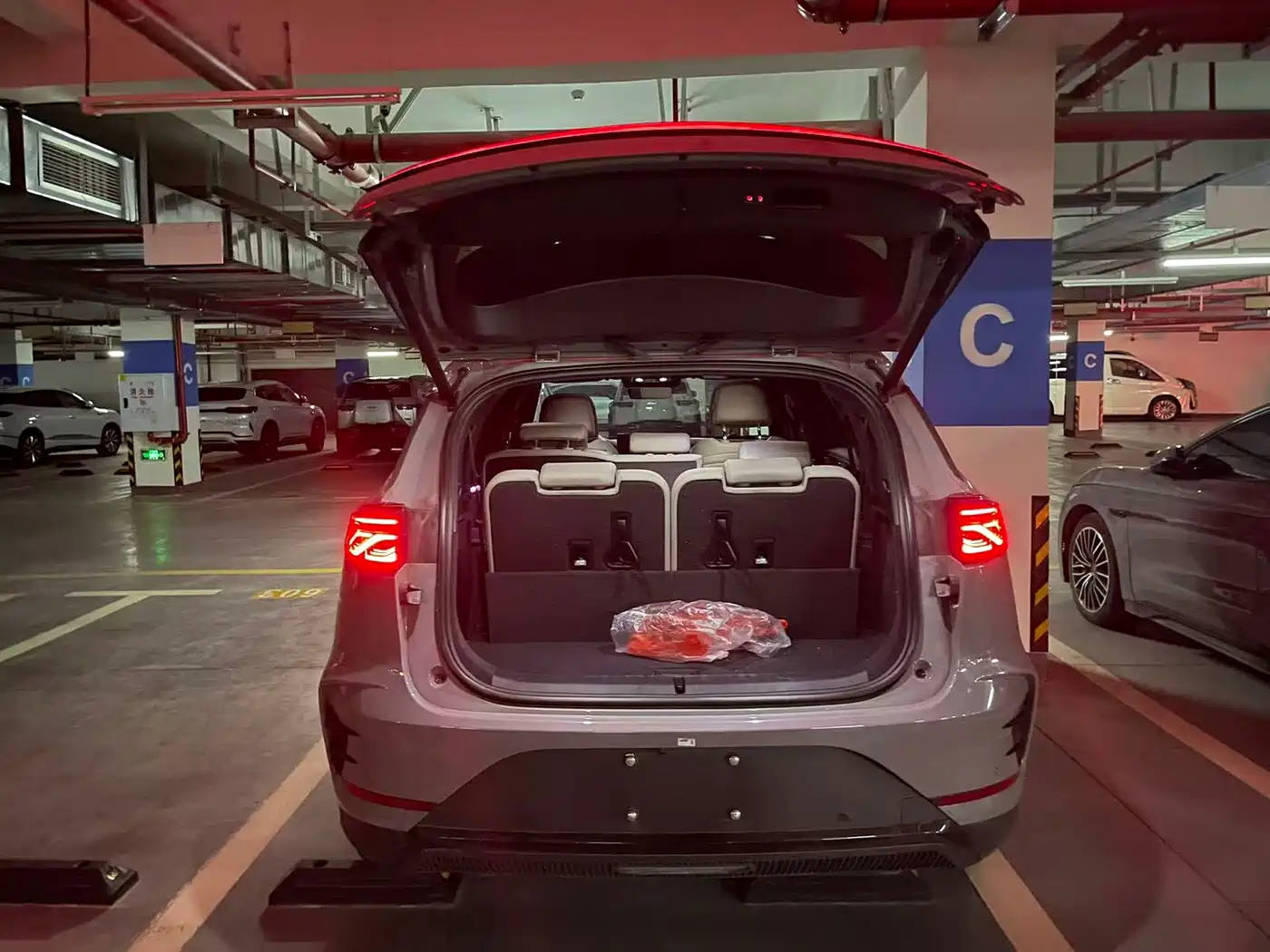 BYD Tang New Energy 2025 Smart Driving Edition DM-i 115KM Flagship фото 4