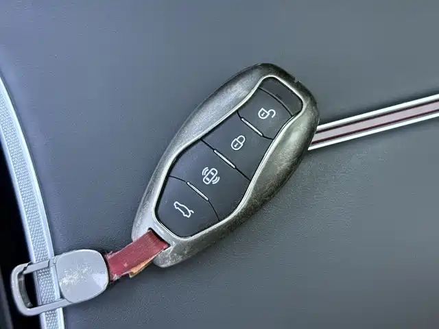 صورة 20 - Hongqi HS3 PHEV