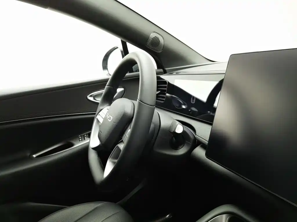 BYD Sealion, миниатюра 22