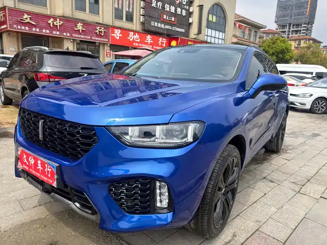 wei-pai wei-brand-vv5