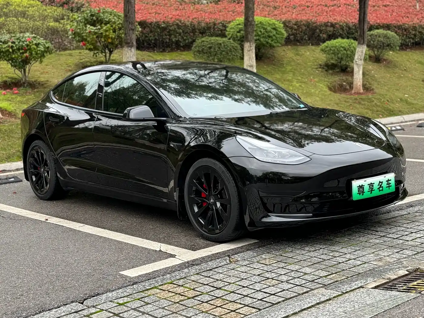 TESLA MODEL 3