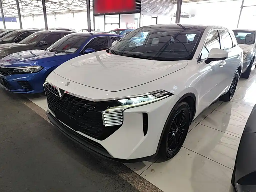 Venucia Big V 2022 2021 260T Idol Edition