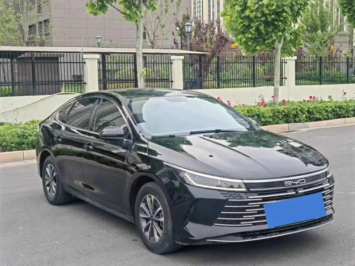 BYD Destroyer 05 2024 Glory Edition DM-i 55KM Luxury фото 3