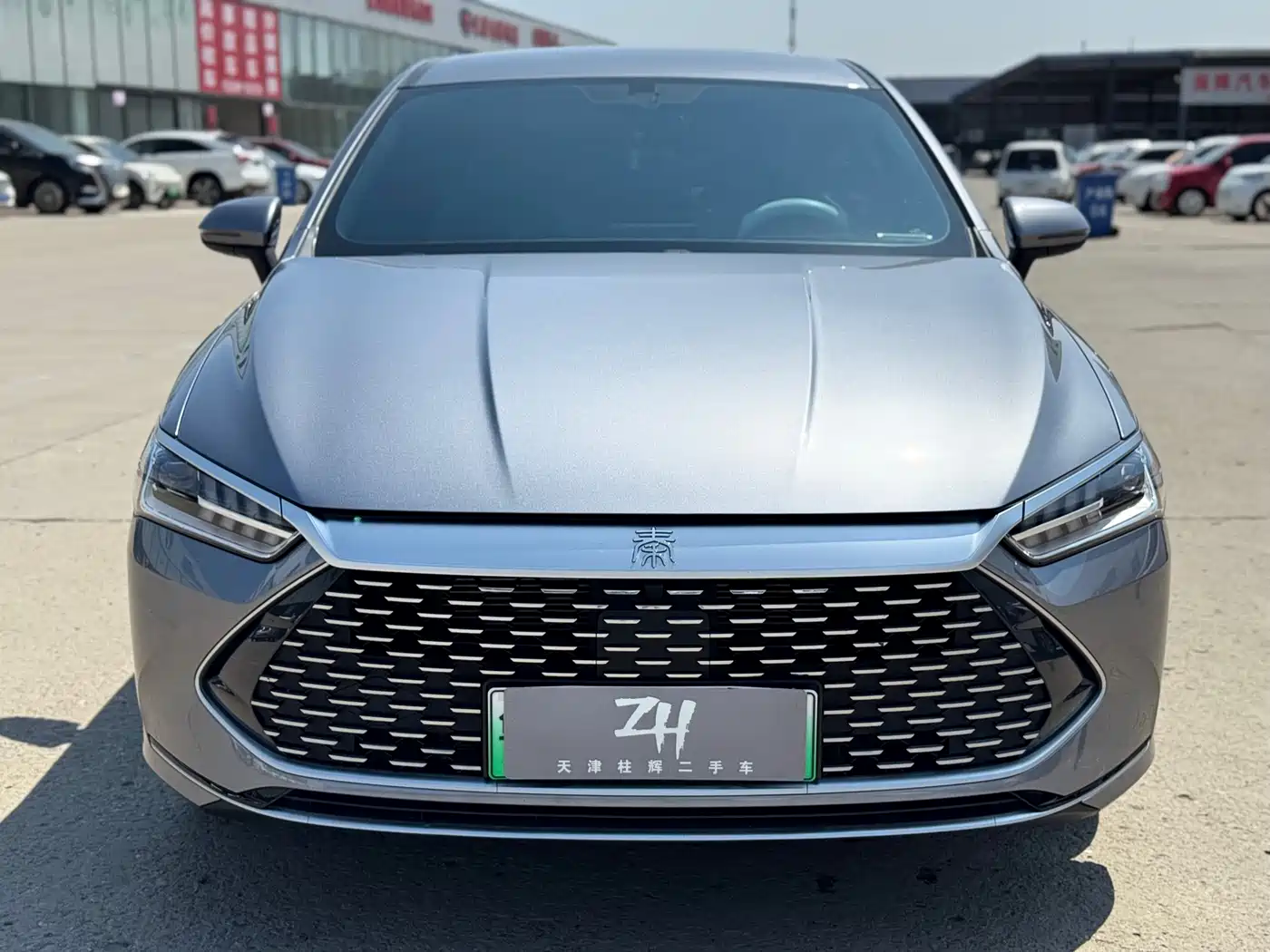 BYD Qin PLUS 2024 Glory Edition DM-i 55KM Leading фото 2