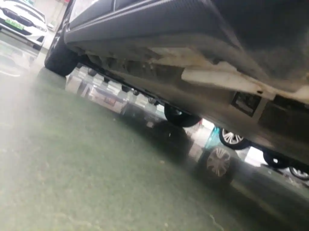 Geely Geometry EX3 Kung Fu Bull 2022 2021 Strong Bull