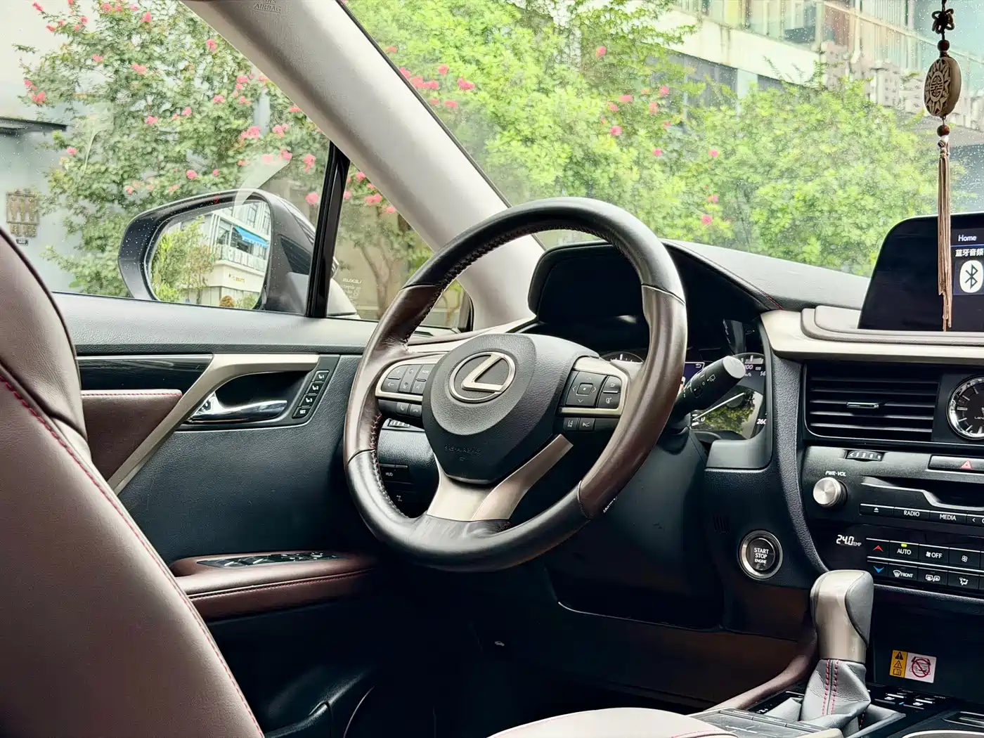 Lexus RX 2020 Facelift 300 AWD Elegance Edition фото 15
