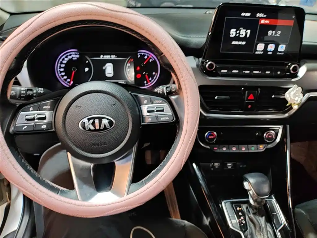 Kia Sportage 2018 2.0L Automatic Smart Luxury (China V) фото 6