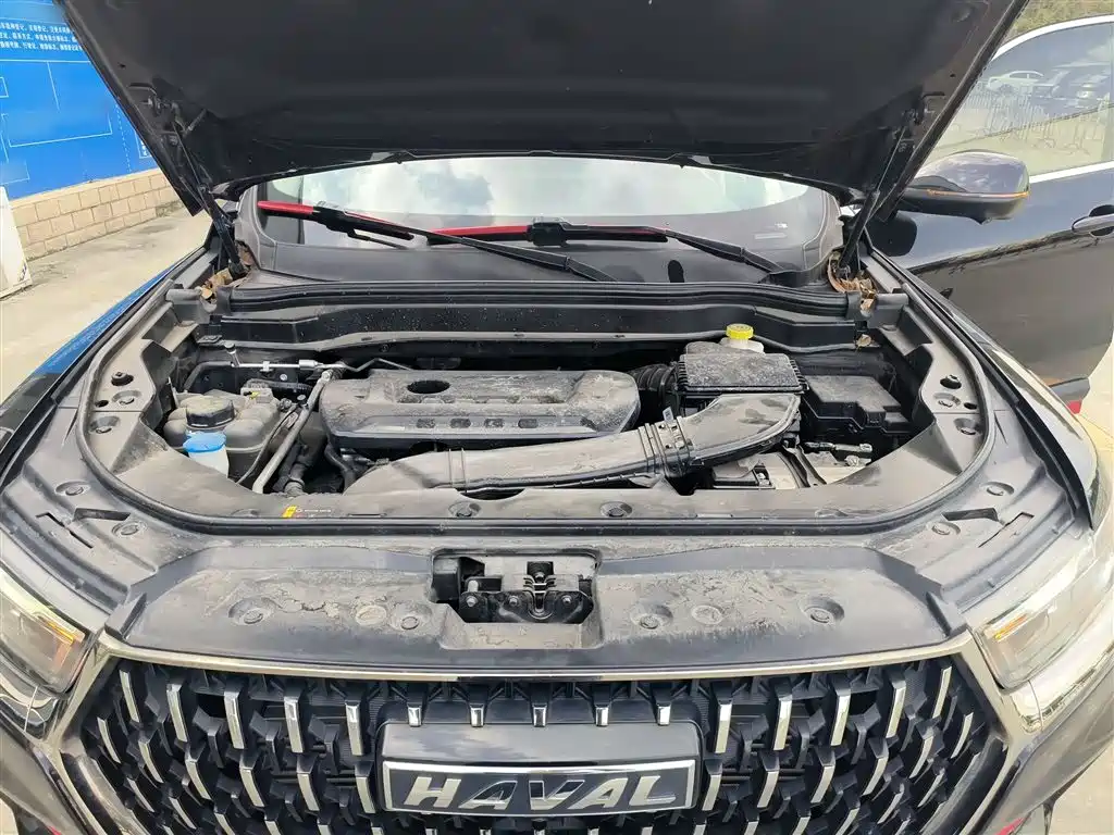 Haval H6 2021 National Trend Edition 2.0GDIT Automatic Champion фото 16