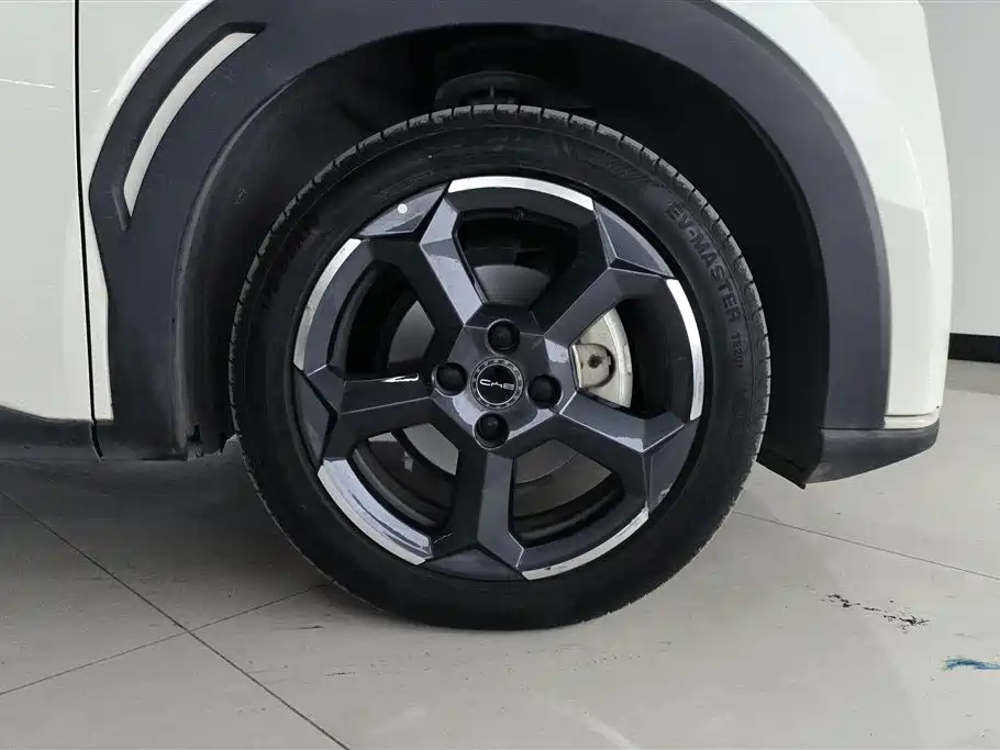 BYD Seagull 2023 Freedom Edition фото 6