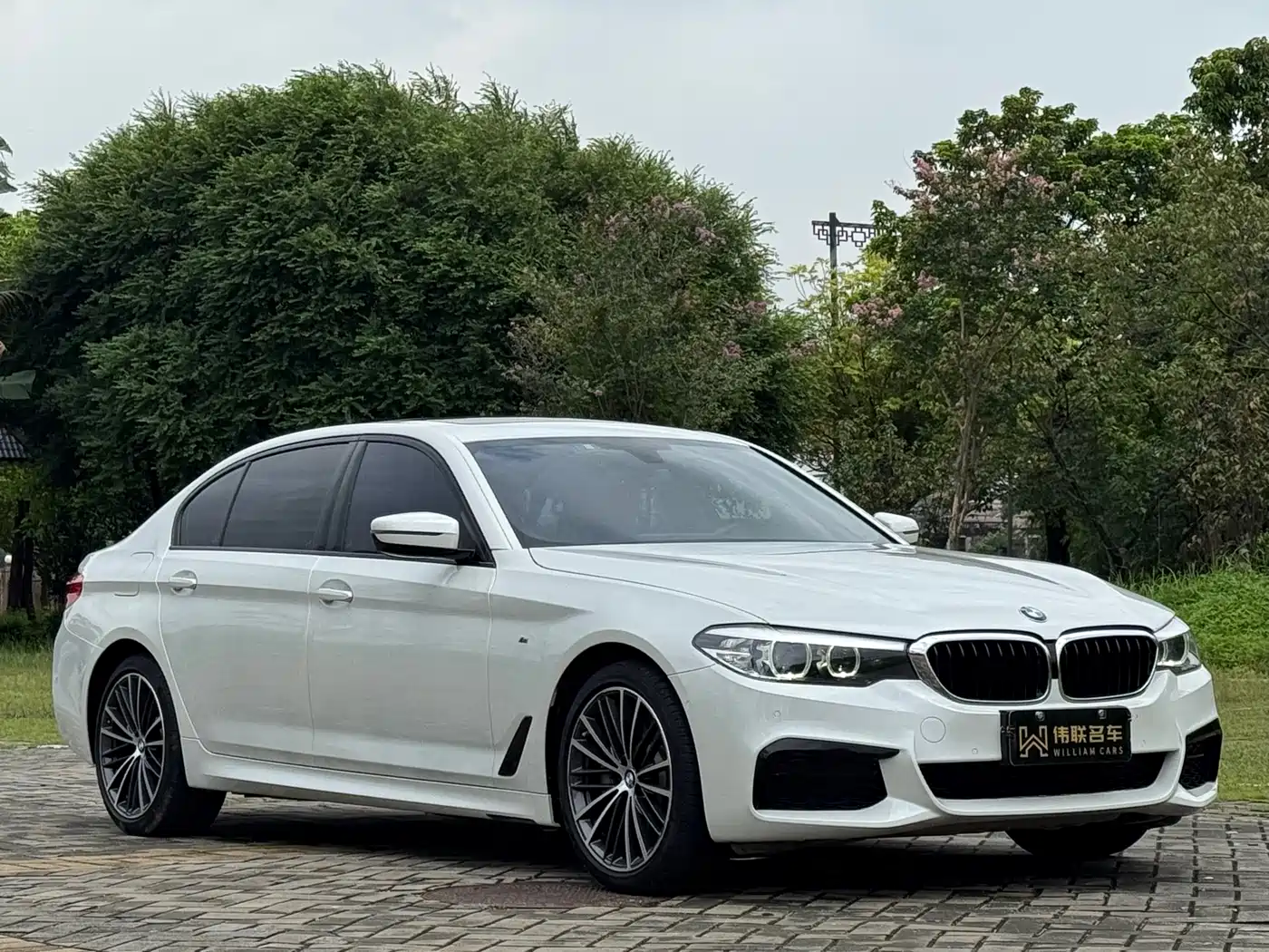 BMW 5 Series 2019 Facelift 530Li Leading M Sport Package фото 3