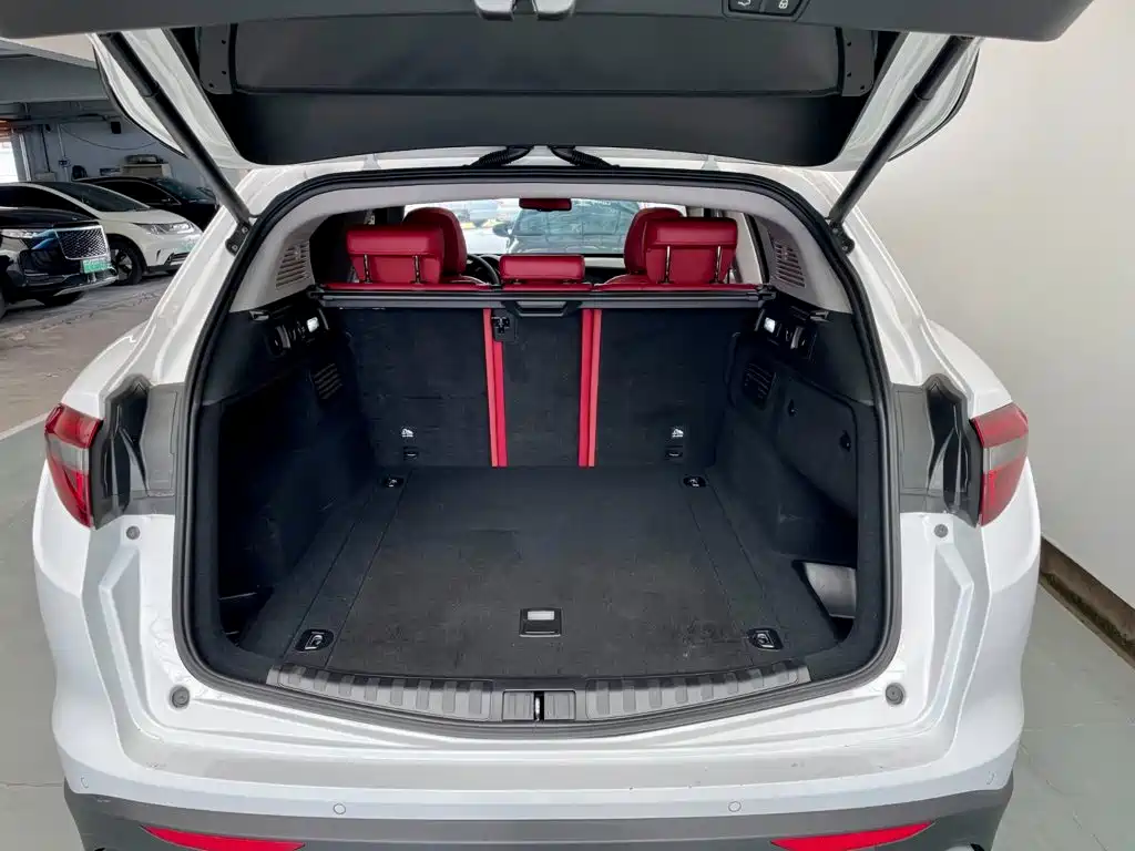 Alfa Romeo Stelvio 2019 2017 2.0T 200HP Elite