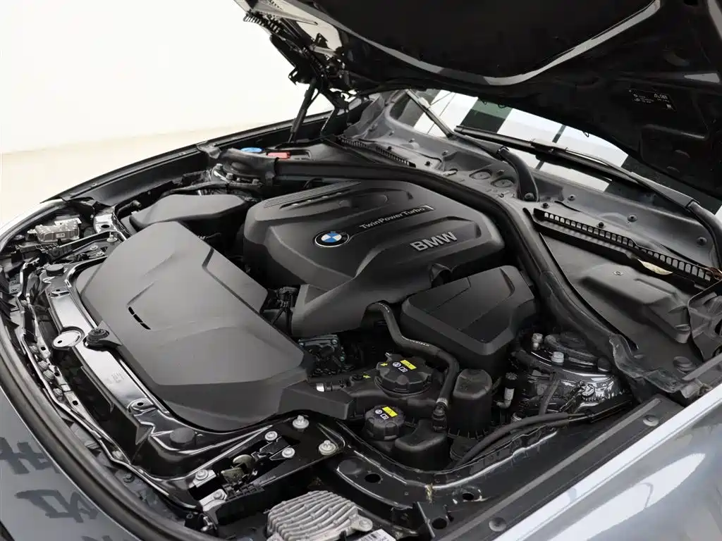 BMW 3 Series GT 2019 330i xDrive M Sport Black Night Edition фото 26