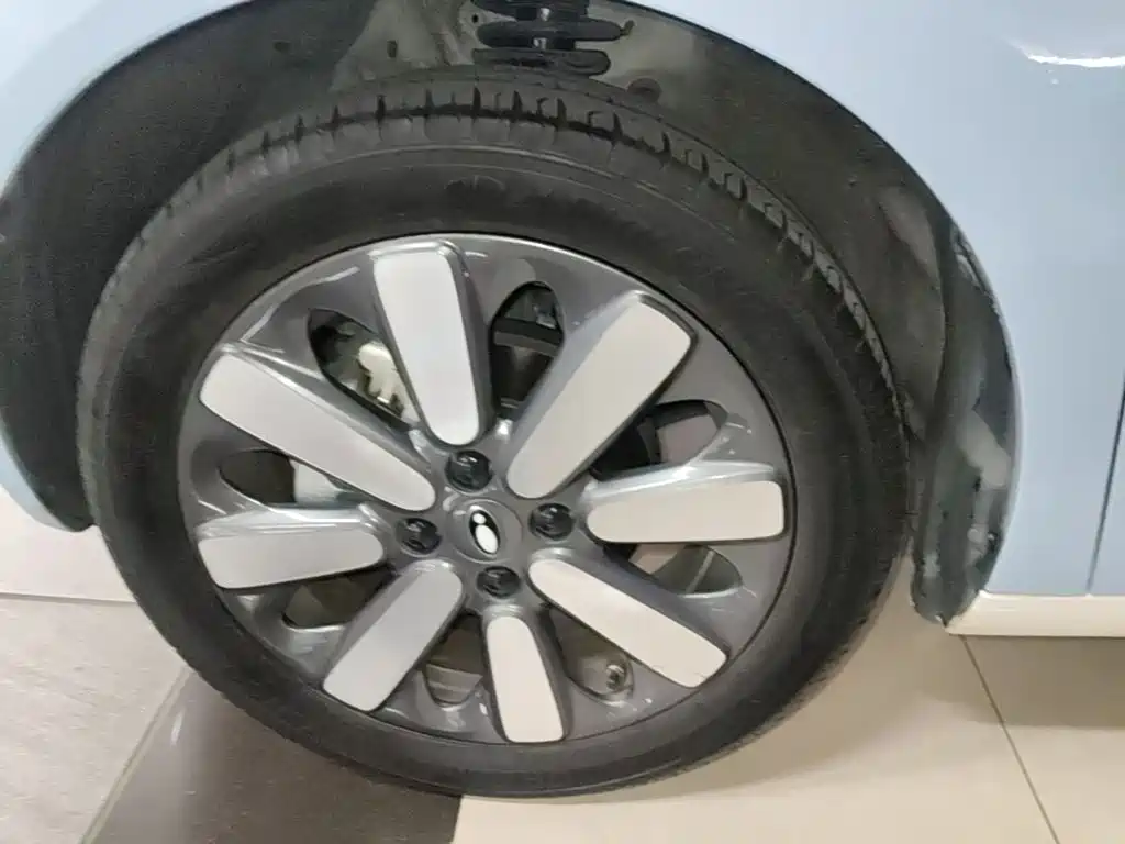 Ora Black Cat 2022 2022 301km Cute Pet Edition (LFP)