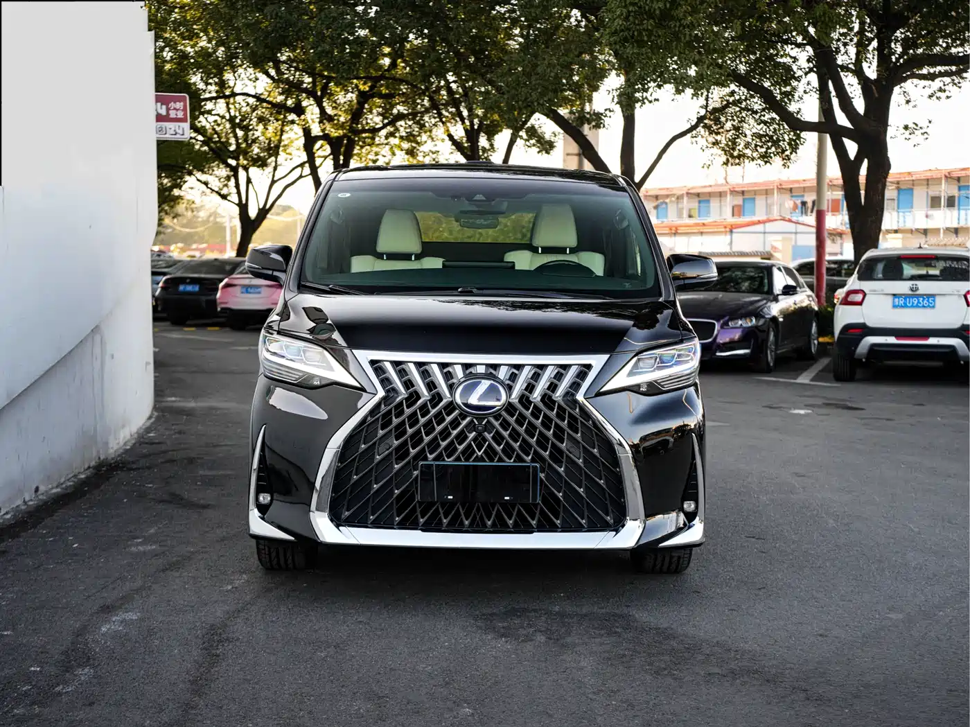 Lexus LM 2020 300h 4-Seat Imperial Edition фото 2