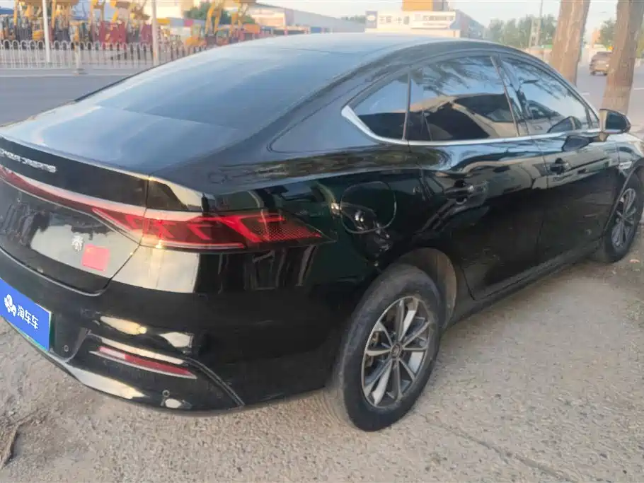 BYD Qin PLUS 2024 Glory Edition DM-i 55KM Leading фото 3