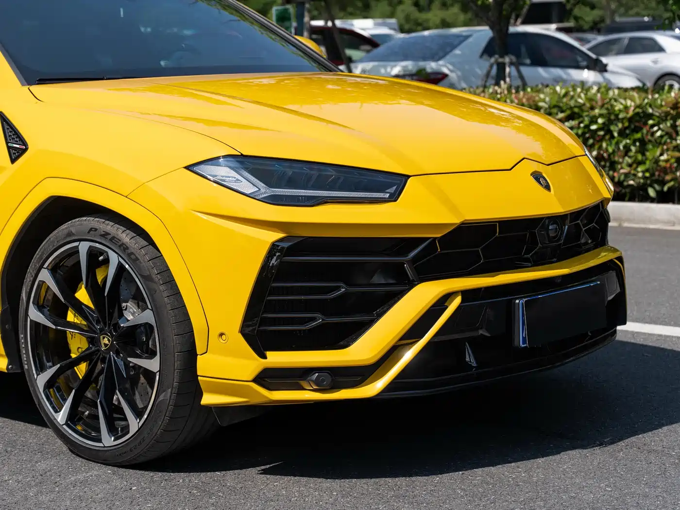 Lamborghini Urus 2018 4.0T V8 фото 17
