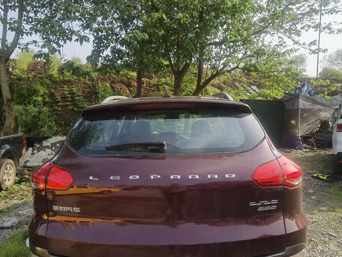 CHEETAH CARS CHEETAH CS10